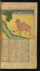 A Mouse, Clutching the Reins of a Camel, at a Stream of Water, illustration from A Collection of Poems, by Jalal al-Din Rumi
